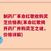 制药厂革命红歌收购灵芝价格表(革命红歌揭开药厂并购灵芝之谜，价格详解)