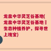 龙泉中华灵芝谷基地(龙泉中华灵芝谷基地–生态种植养护,探寻世上瑰宝)
