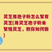 灵芝用孢子粉怎么繁育灵芝(用灵芝孢子粉来繁殖灵芝，教你如何做)