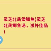 灵芝北芪煲鲫鱼(灵芝北芪鲫鱼汤，滋补佳品)