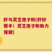 肝与灵芝孢子粉(肝好帮手！灵芝孢子粉助力保健)