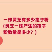 一株灵芝有多少孢子粉(灵芝一株产生的孢子粉数量是多少？)