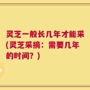 灵芝一般长几年才能采(灵芝采摘：需要几年的时间？)