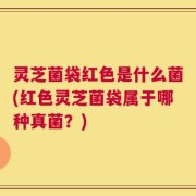 灵芝菌袋红色是什么菌(红色灵芝菌袋属于哪种真菌？)