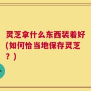 灵芝拿什么东西装着好(如何恰当地保存灵芝？)