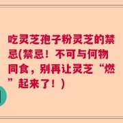 吃灵芝孢子粉灵芝的禁忌(禁忌！不可与何物同食，别再让灵芝“燃”起来了！)