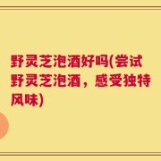 野灵芝泡酒好吗(尝试野灵芝泡酒，感受独特风味)