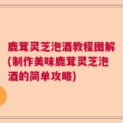 鹿茸灵芝泡酒教程图解(制作美味鹿茸灵芝泡酒的简单攻略)