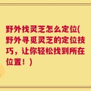 野外找灵芝怎么定位(野外寻觅灵芝的定位技巧，让你轻松找到所在位置！)