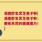 滇西野生灵芝孢子粉(滇西野生灵芝孢子粉：拥有天然的健康魔力！)