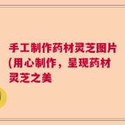 手工制作药材灵芝图片(用心制作，呈现药材灵芝之美