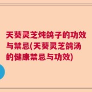 天葵灵芝炖鸽子的功效与禁忌(天葵灵芝鸽汤的健康禁忌与功效)