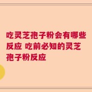 吃灵芝孢子粉会有哪些反应 吃前必知的灵芝孢子粉反应