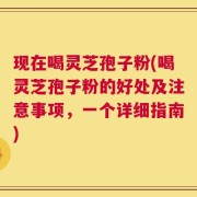 现在喝灵芝孢子粉(喝灵芝孢子粉的好处及注意事项，一个详细指南)