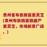 贵州省布依族苗紫灵芝(贵州布依族苗族盛产紫灵芝，市场前景广阔。)
