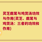 灵芝鹿茸与鸡煲汤功效与作用(灵芝、鹿茸与鸡煲汤：三者的功效和作用)