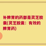 补脾胃的药都是灵芝胶囊(灵芝胶囊：有效的脾胃药)