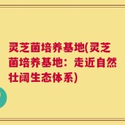 灵芝菌培养基地(灵芝菌培养基地：走近自然壮阔生态体系)