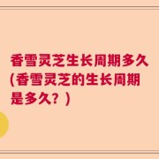 香雪灵芝生长周期多久(香雪灵芝的生长周期是多久?)