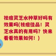 祛痘灵芝水种草好吗有效果吗(祛痘佳品！灵芝水真的有用吗？快来看看效果如何！)