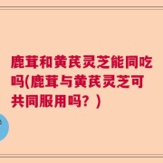 鹿茸和黄芪灵芝能同吃吗(鹿茸与黄芪灵芝可共同服用吗?)