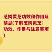 芝树灵芝功效和作用及禁忌(了解芝树灵芝：功效、作用与注意事项)