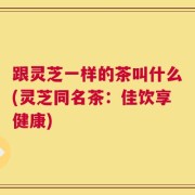 跟灵芝一样的茶叫什么(灵芝同名茶：佳饮享健康)
