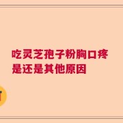 吃灵芝孢子粉胸口疼 是还是其他原因