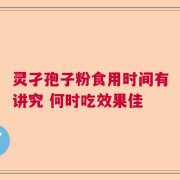 灵孑孢子粉食用时间有讲究 何时吃效果佳