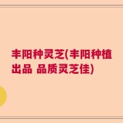 丰阳种灵芝(丰阳种植出品 品质灵芝佳)