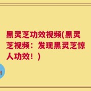 黑灵芝功效视频(黑灵芝视频：发现黑灵芝惊人功效！)