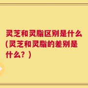 灵芝和灵脂区别是什么(灵芝和灵脂的差别是什么？)