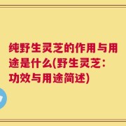纯野生灵芝的作用与用途是什么(野生灵芝：功效与用途简述)