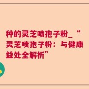 种的灵芝喷孢子粉_“灵芝喷孢子粉：与健康益处全解析”