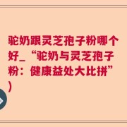 驼奶跟灵芝孢子粉哪个好_“驼奶与灵芝孢子粉：健康益处大比拼”)