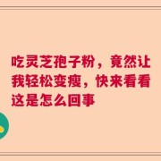 吃灵芝孢子粉，竟然让我轻松变瘦，快来看看这是怎么回事