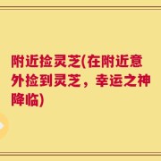 附近捡灵芝(在附近意外捡到灵芝，幸运之神降临)