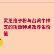 灵芝孢子粉与台湾牛樟芝的功效特点及养生价值