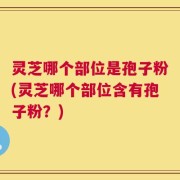 灵芝哪个部位是孢子粉(灵芝哪个部位含有孢子粉？)