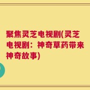 聚焦灵芝电视剧(灵芝电视剧：神奇草药带来神奇故事)