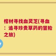 棺材寻找血灵芝(寻血：追寻珍贵草药的冒险之旅)