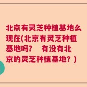 北京有灵芝种植基地么现在(北京有灵芝种植基地吗？  有没有北京的灵芝种植基地？)