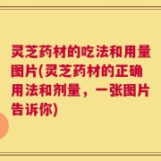 灵芝药材的吃法和用量图片(灵芝药材的正确用法和剂量，一张图片告诉你)