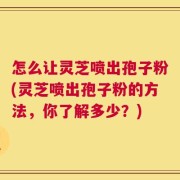 怎么让灵芝喷出孢子粉(灵芝喷出孢子粉的方法，你了解多少？)