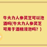 牛大力人参灵芝可以泡酒吗(牛大力人参灵芝可用于酒精浸泡吗？)