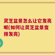 灵芝盆景怎么让它发亮呢(如何让灵芝盆景变得发亮)