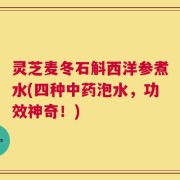 灵芝麦冬石斛西洋参煮水(四种中药泡水，功效神奇！)