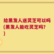 给黑发人送灵芝可以吗(黑发人能吃灵芝吗？)