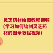 灵芝药材绘图教程视频(学习如何绘制灵芝药材的图示教程视频)