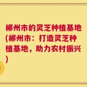 郴州市的灵芝种植基地(郴州市：打造灵芝种植基地，助力农村振兴)